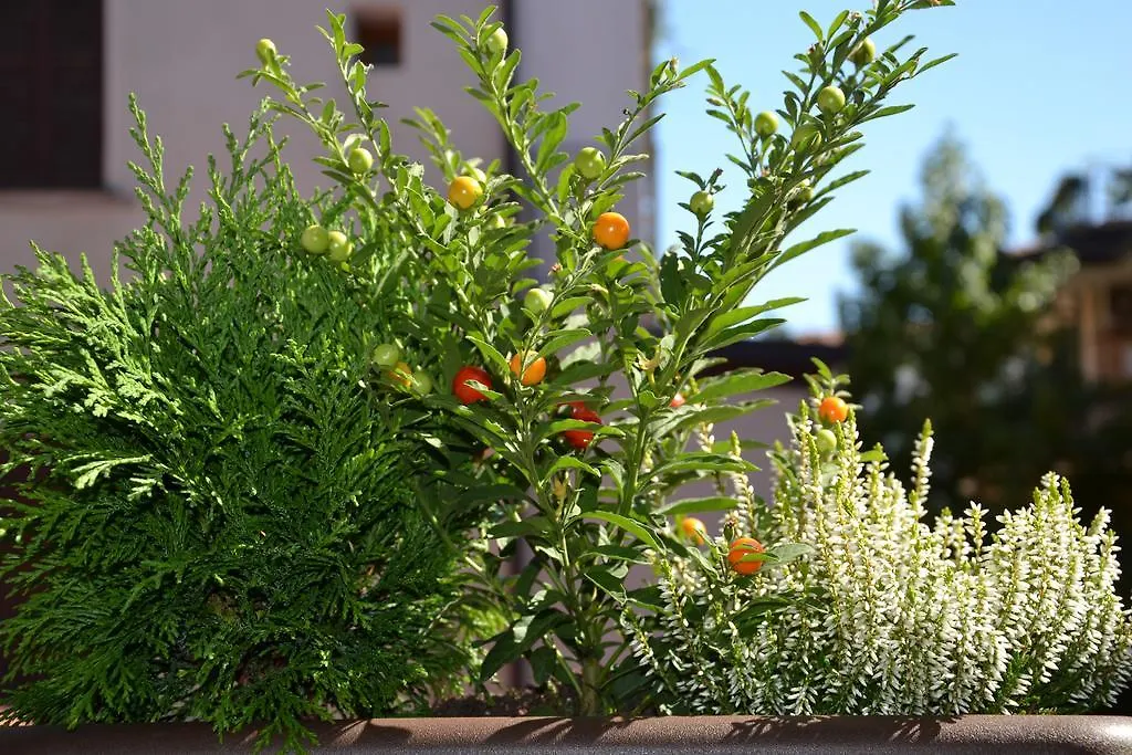 Nocleg ze śniadaniem Bed and Breakfast In Centro Charme Bergamo