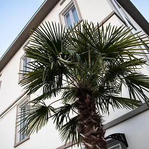 https://le-palme-residence.emilia-romagnahotels.net